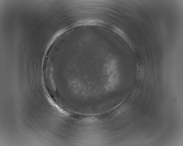 X0000052650994200507011408