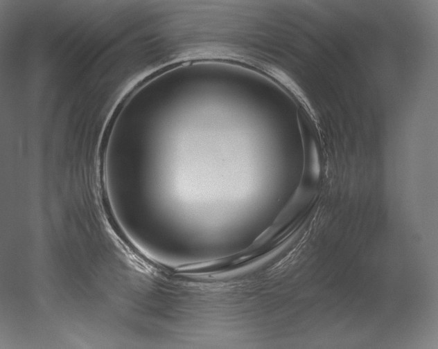 X0000052650996200507011408