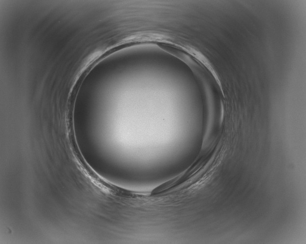 X0000052650997200507011408