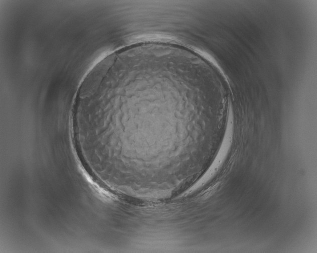X0000052650999200507011407
