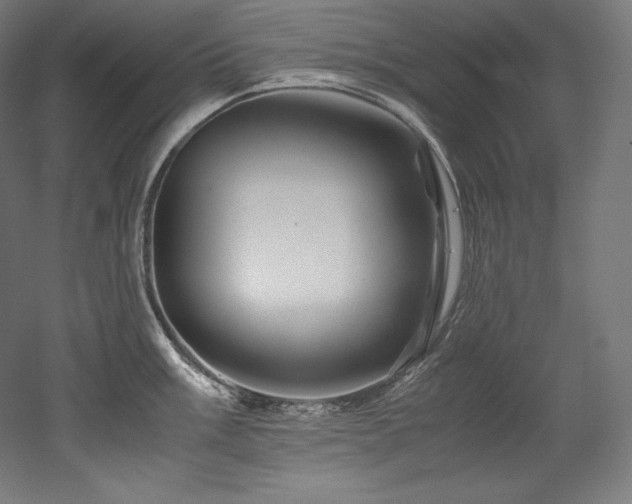 X0000052651003200507011407