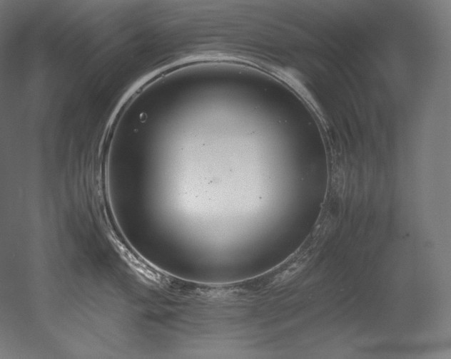 X0000052651004200507011407