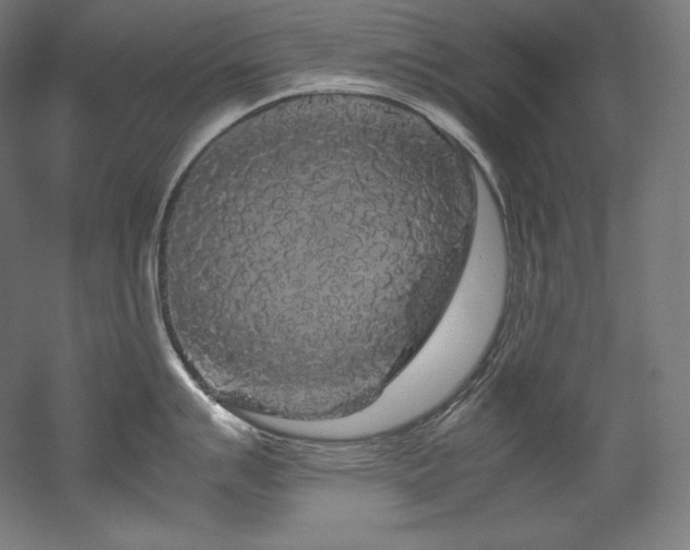 X0000052651007200507011407