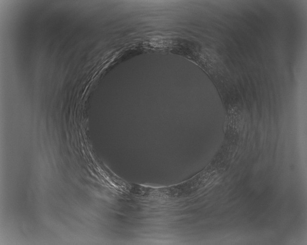 X0000052651009200507011406