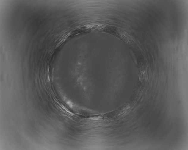 X0000052651010200507011407