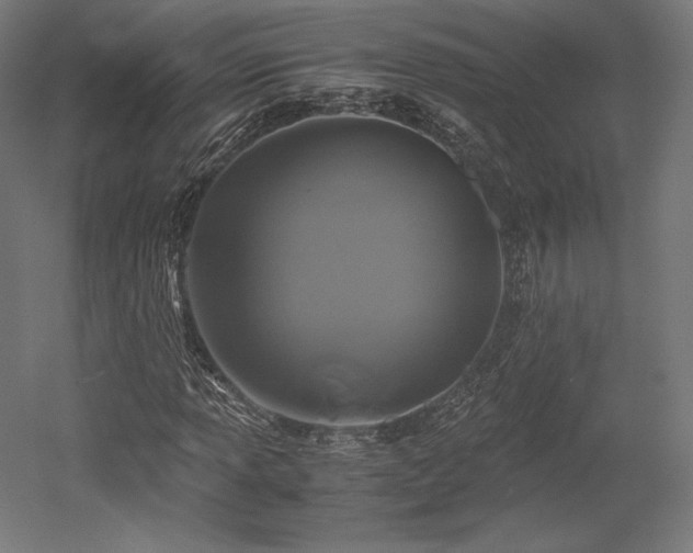 X0000052651013200507011407