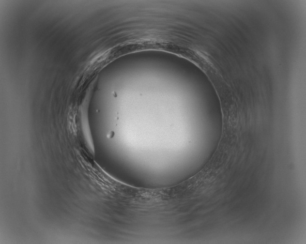 X0000052651015200507011407