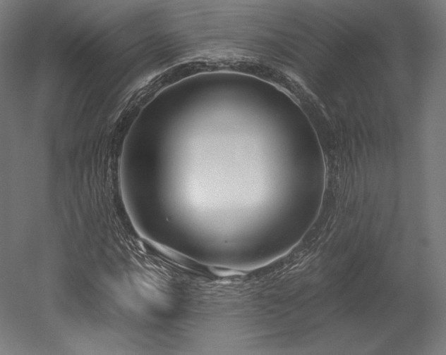 X0000052651016200507011407