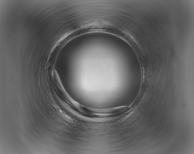 X0000052651018200507011407