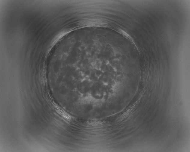 X0000052651019200507011407