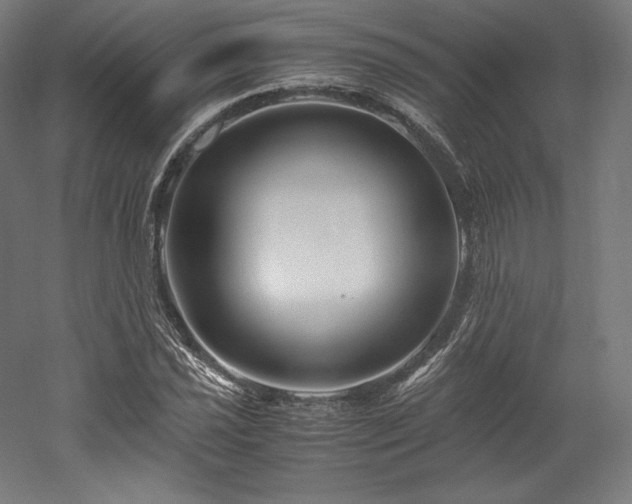 X0000052651021200507011407