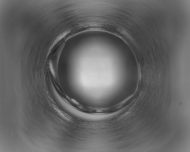 X0000052651026200507011407