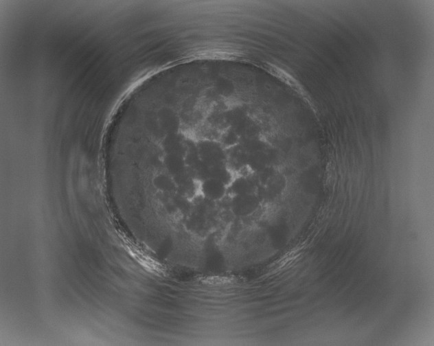 X0000052651027200507011407