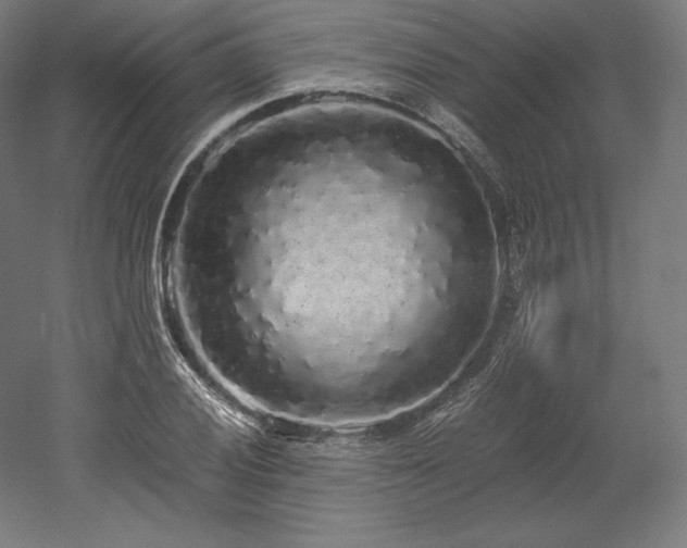 X0000052651028200507011407