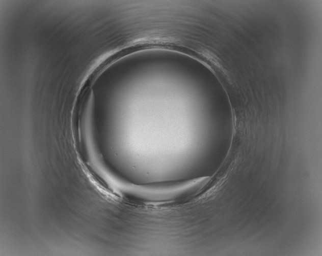 X0000052651030200507011407