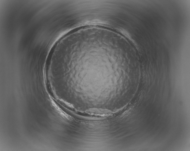 X0000052651032200507011407