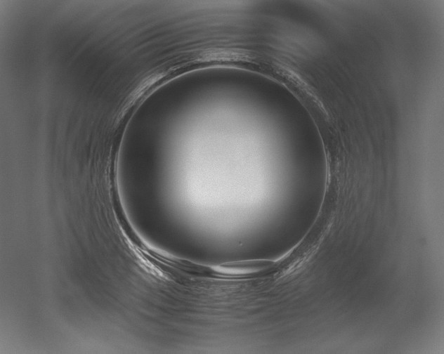 X0000052651033200507011407