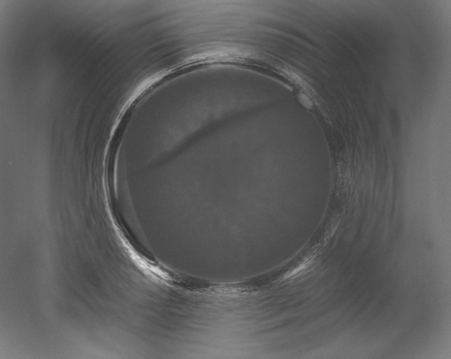 X0000052651034200507011407