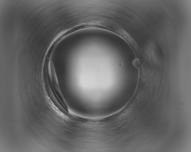 X0000052651036200507011407