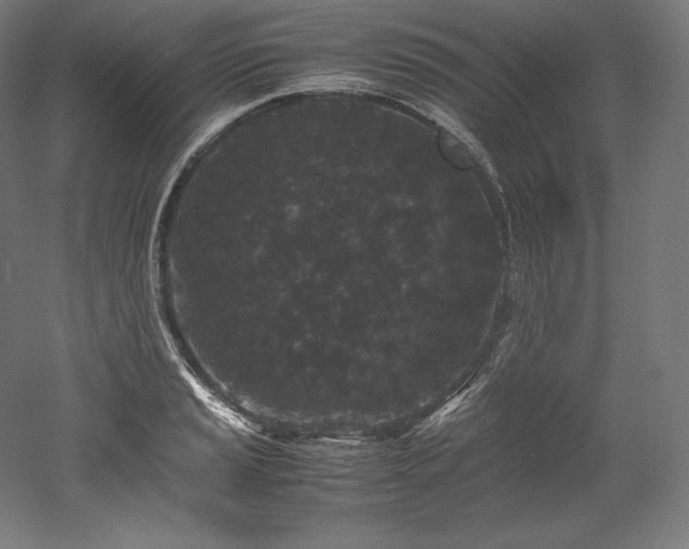 X0000052651037200507011407