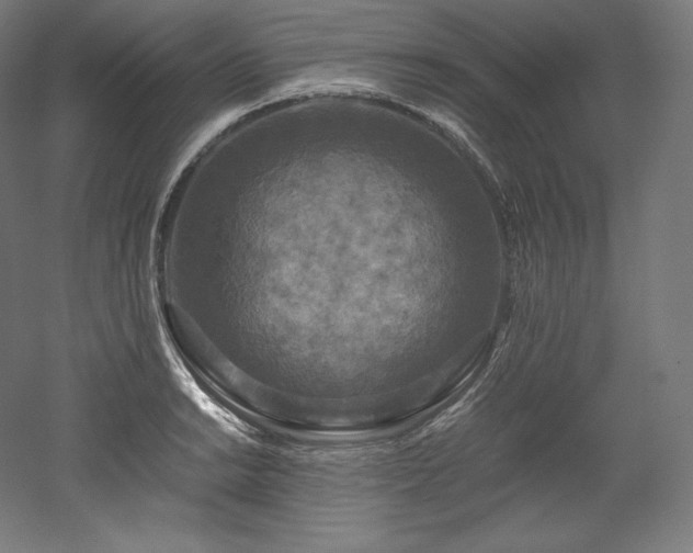 X0000052651038200507011407