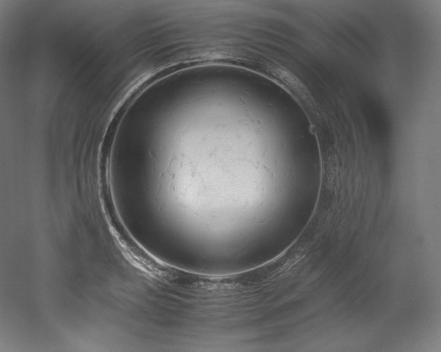 X0000052651039200507011407
