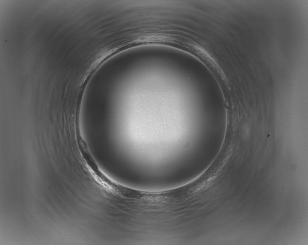 X0000052651041200507011407