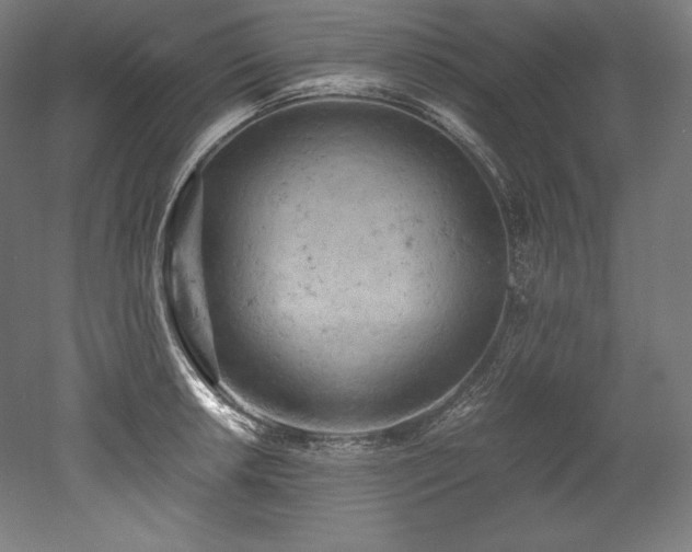 X0000052651042200507011407