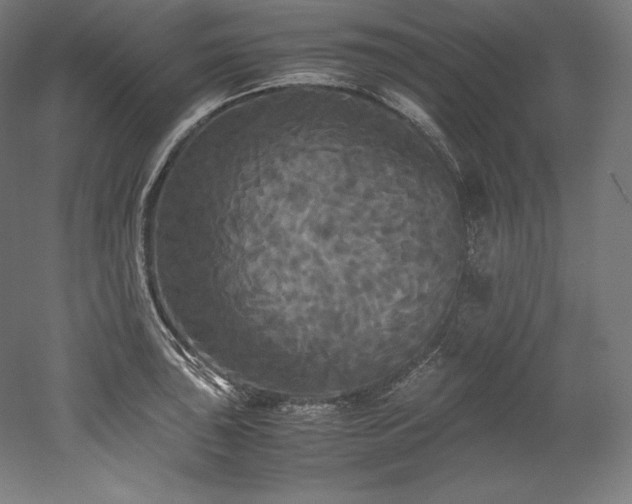 X0000052651043200507011407