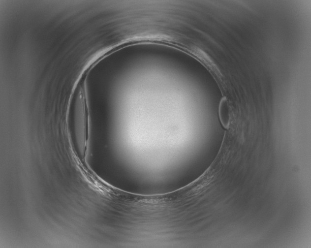 X0000052651044200507011407