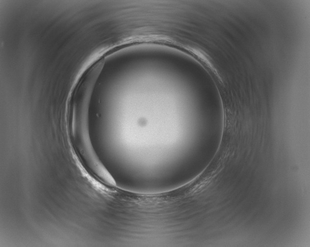 X0000052651046200507011407