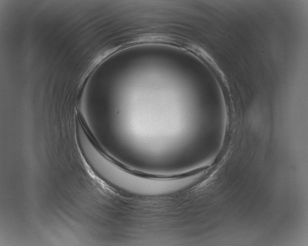X0000052651049200507011407