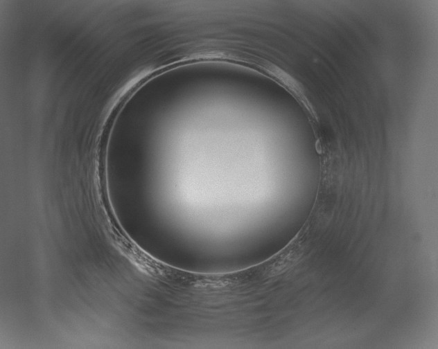 X0000052651051200507011407