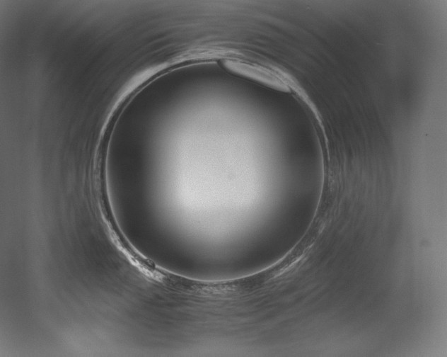 X0000052651053200507011407