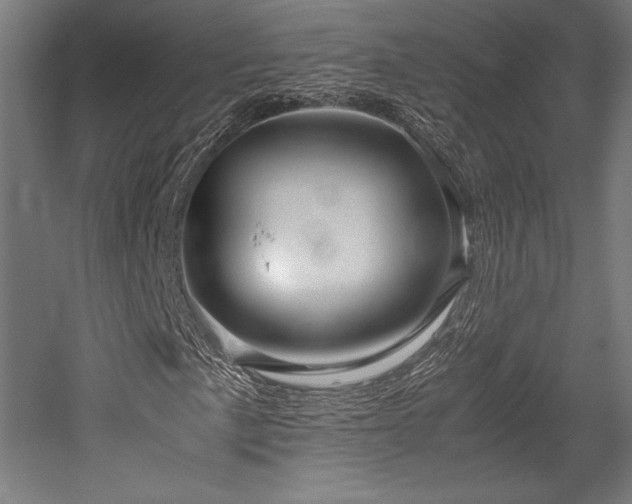 X0000052651057200507011406
