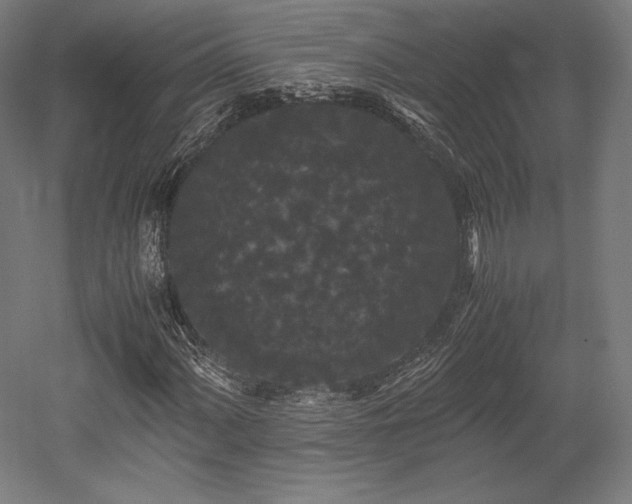 X0000052651060200507011406