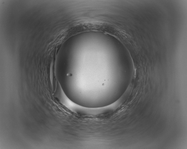 X0000052651061200507011406