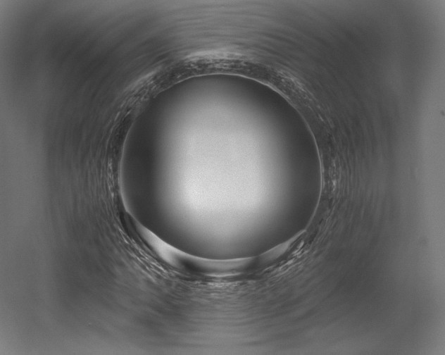 X0000052651062200507011406