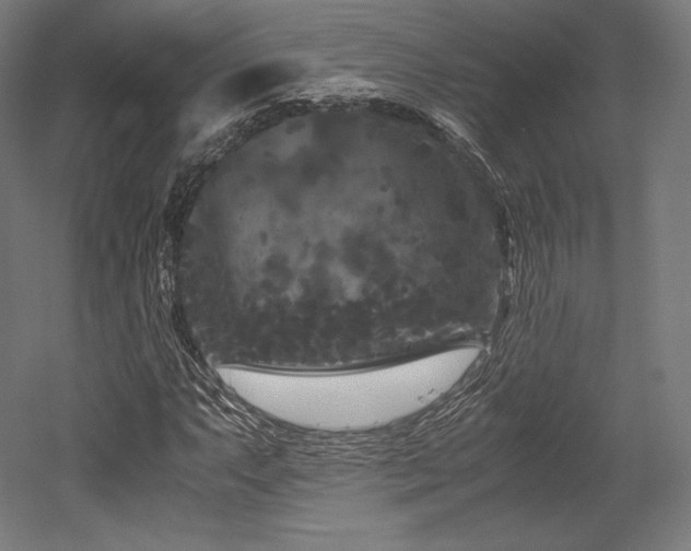 X0000052651063200507011406