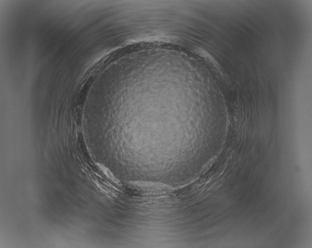 X0000052651064200507011406