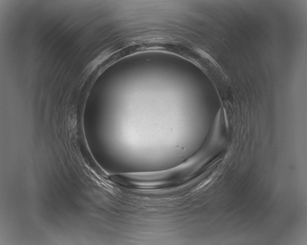 X0000052651065200507011406