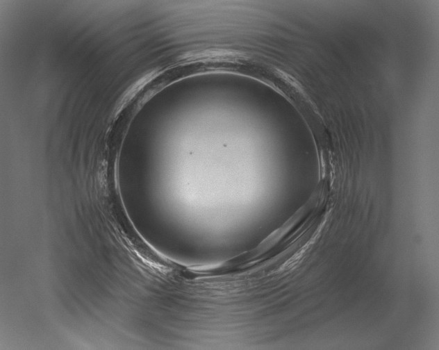 X0000052651066200507011406