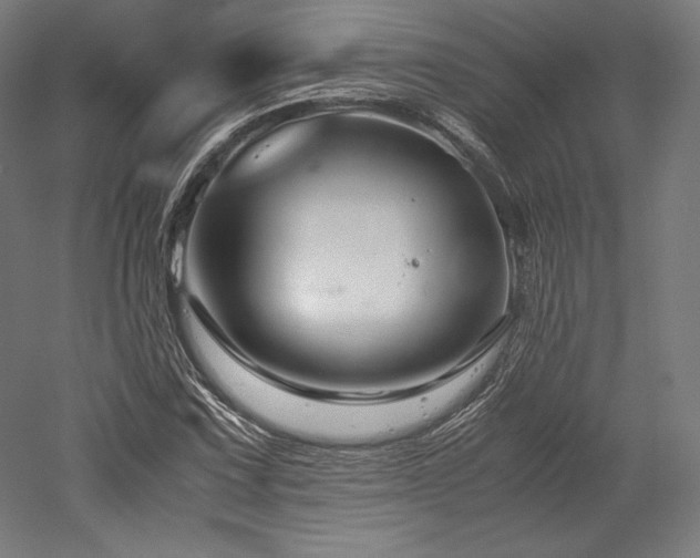 X0000052651067200507011406