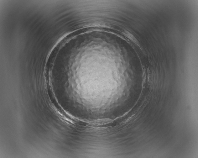 X0000052651068200507011406