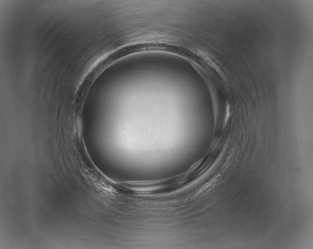 X0000052651069200507011406