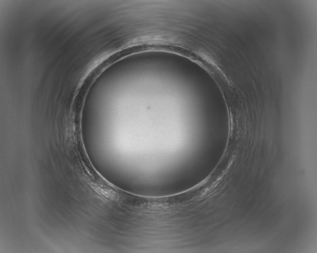 X0000052651070200507011406