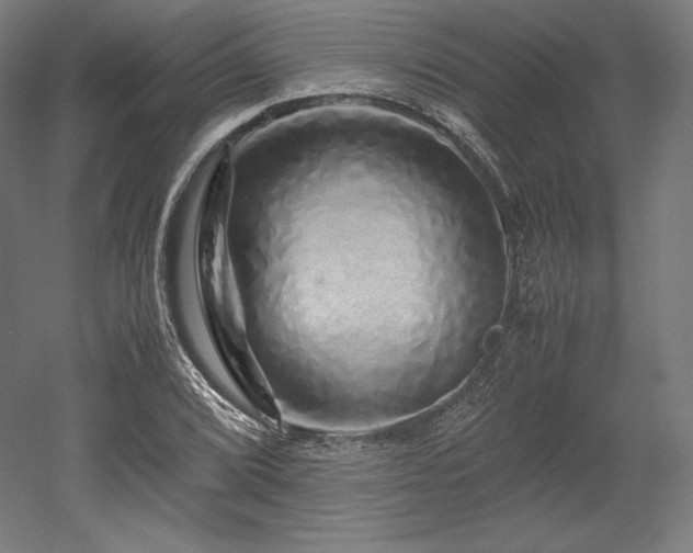 X0000052651072200507011406