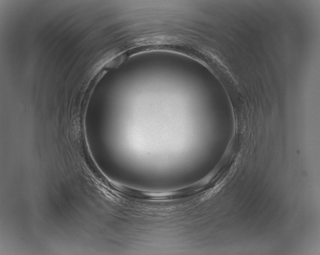 X0000052651073200507011406