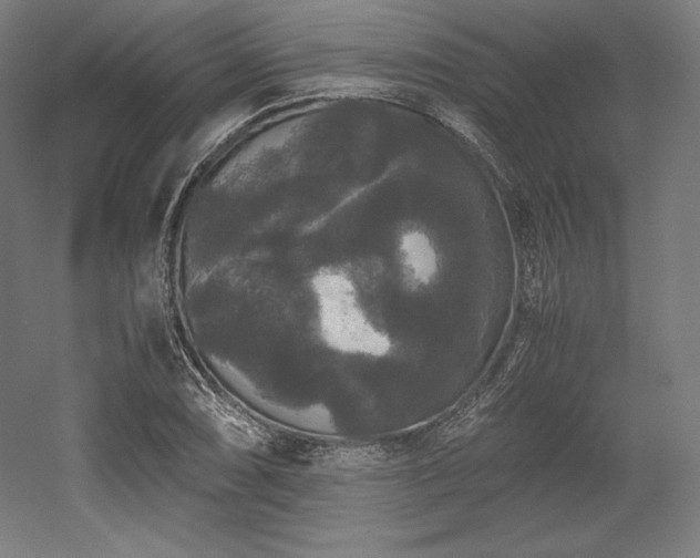 X0000052651074200507011406