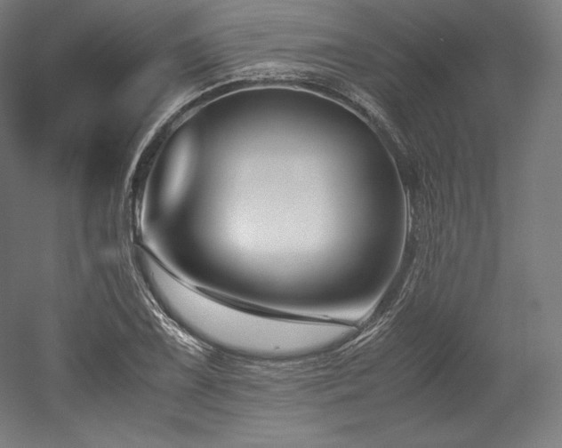 X0000052651075200507011406